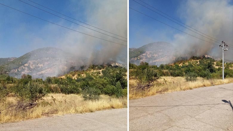Bi egera burdûmana Tirkiyê daristana gundê Şeranş agir girt